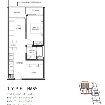MAS5
