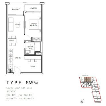 MAS5a