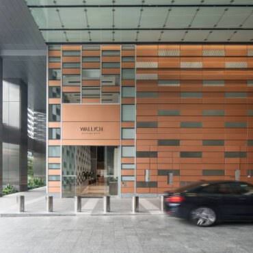 Wallich-11
