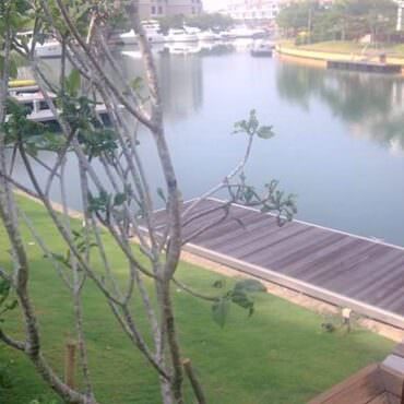 168 Ocean Dr – Garden