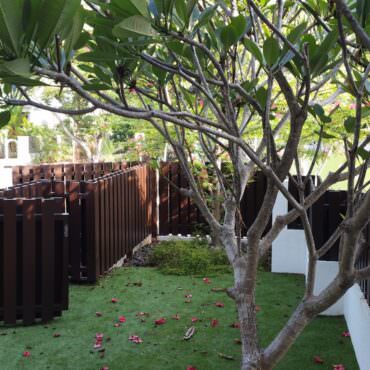 front-garden